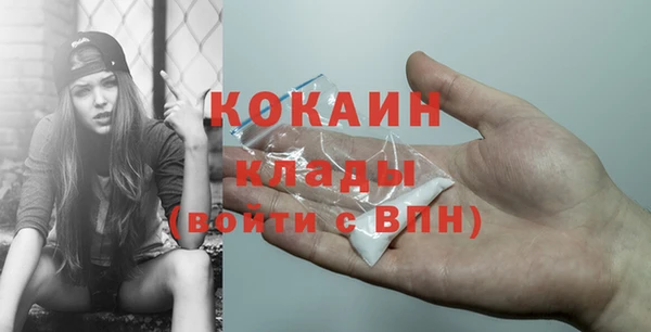 молекула духа Протвино