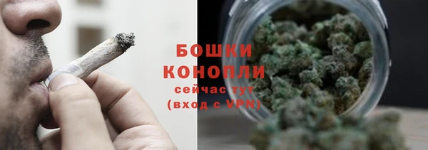молекула духа Протвино
