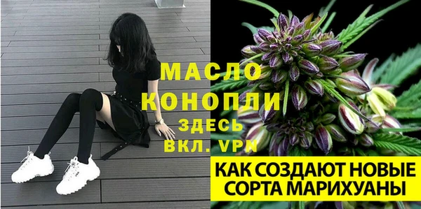 молекула духа Протвино
