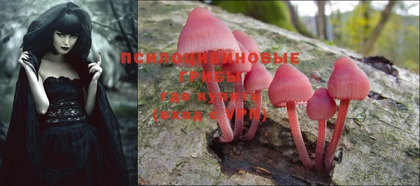 mdma Пролетарск