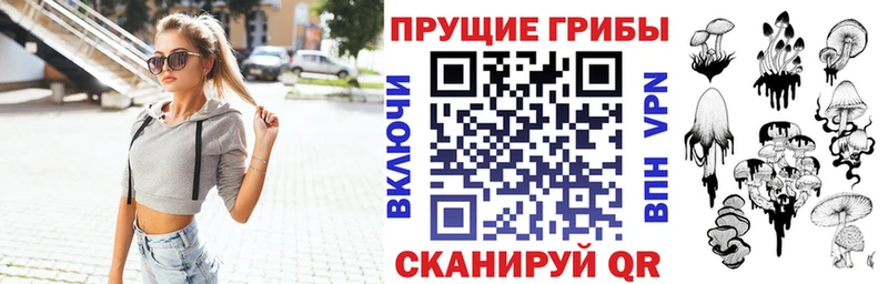 Псилоцибиновые грибы Psilocybe  Купить  Учалы 
